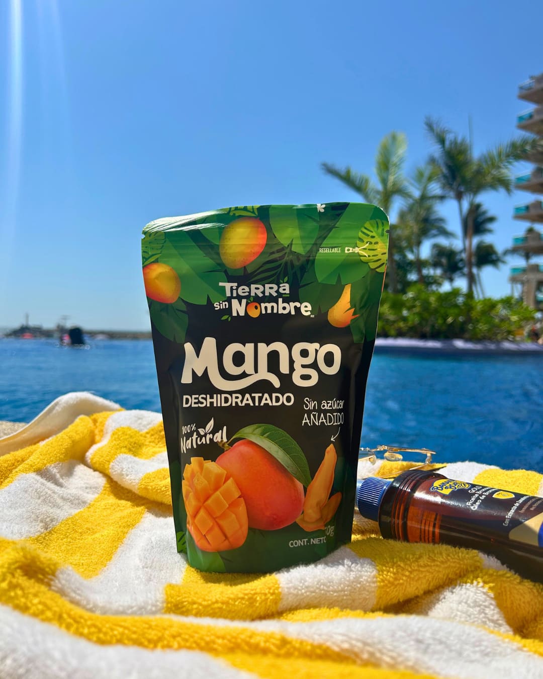 Mango deshidratado Tierra sin Nombre (2)